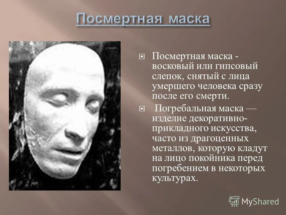 Какое образование у маска. Учеба в пандемию. Илон маск обои. Строгий масочный режим. Какое образование у маска.