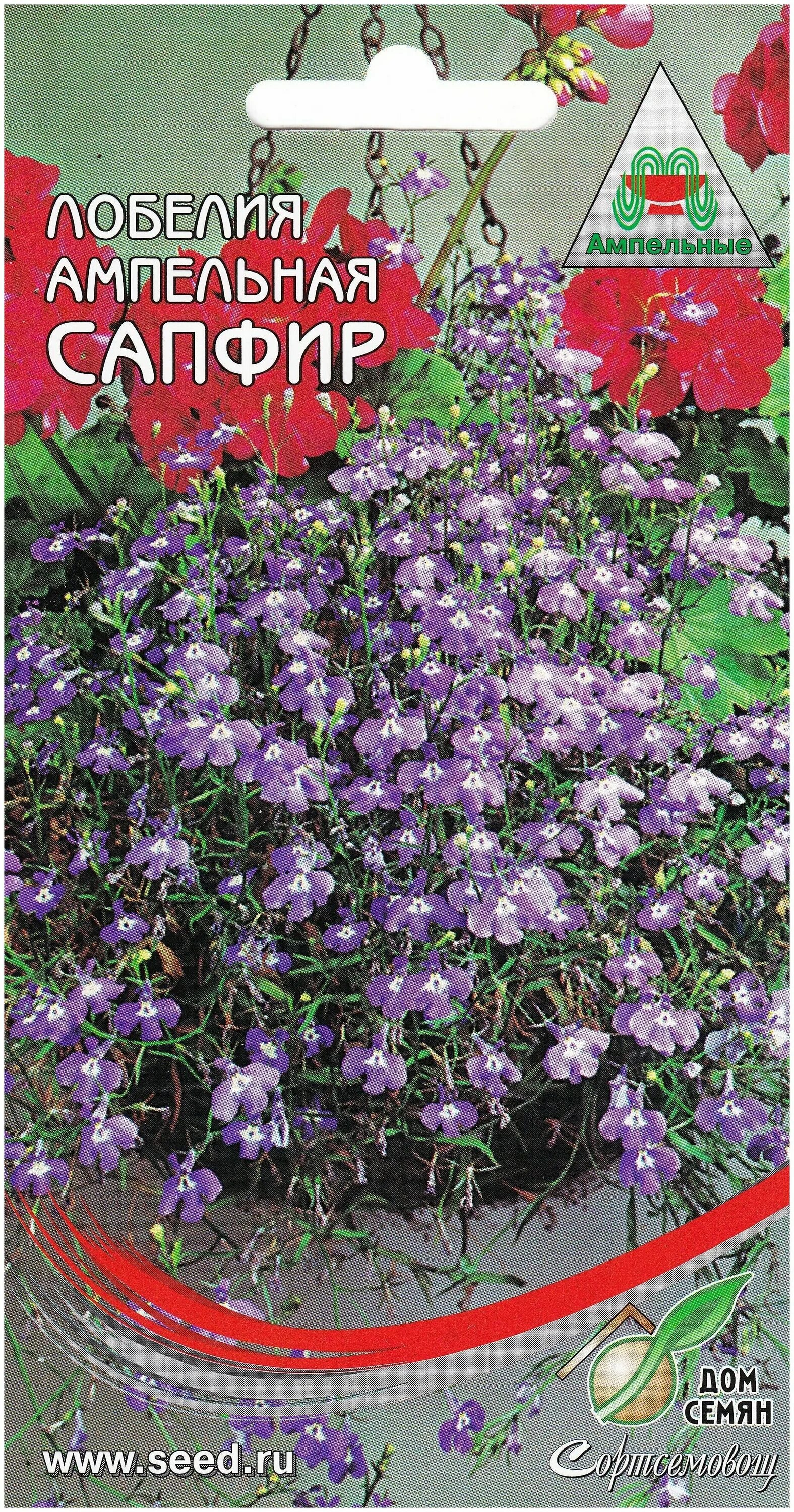 лобелия длинночерешковая сапфир. лобелия эринус ампельная. лобелия ампеампельная. ампельная сапфир. лобелия ампельная сапфир.