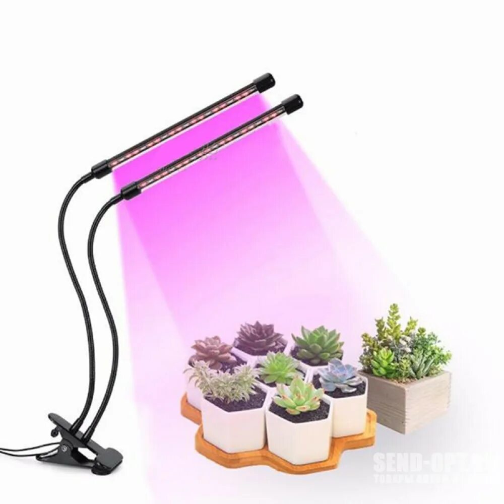 Фитолампа grow Light 40 Вт. Фитолампа полный спектр для растений. Лампы для растений светодиодные полный спектр. Фитолампа для растений и рассады на прищепке полного спектра 3 лампы.