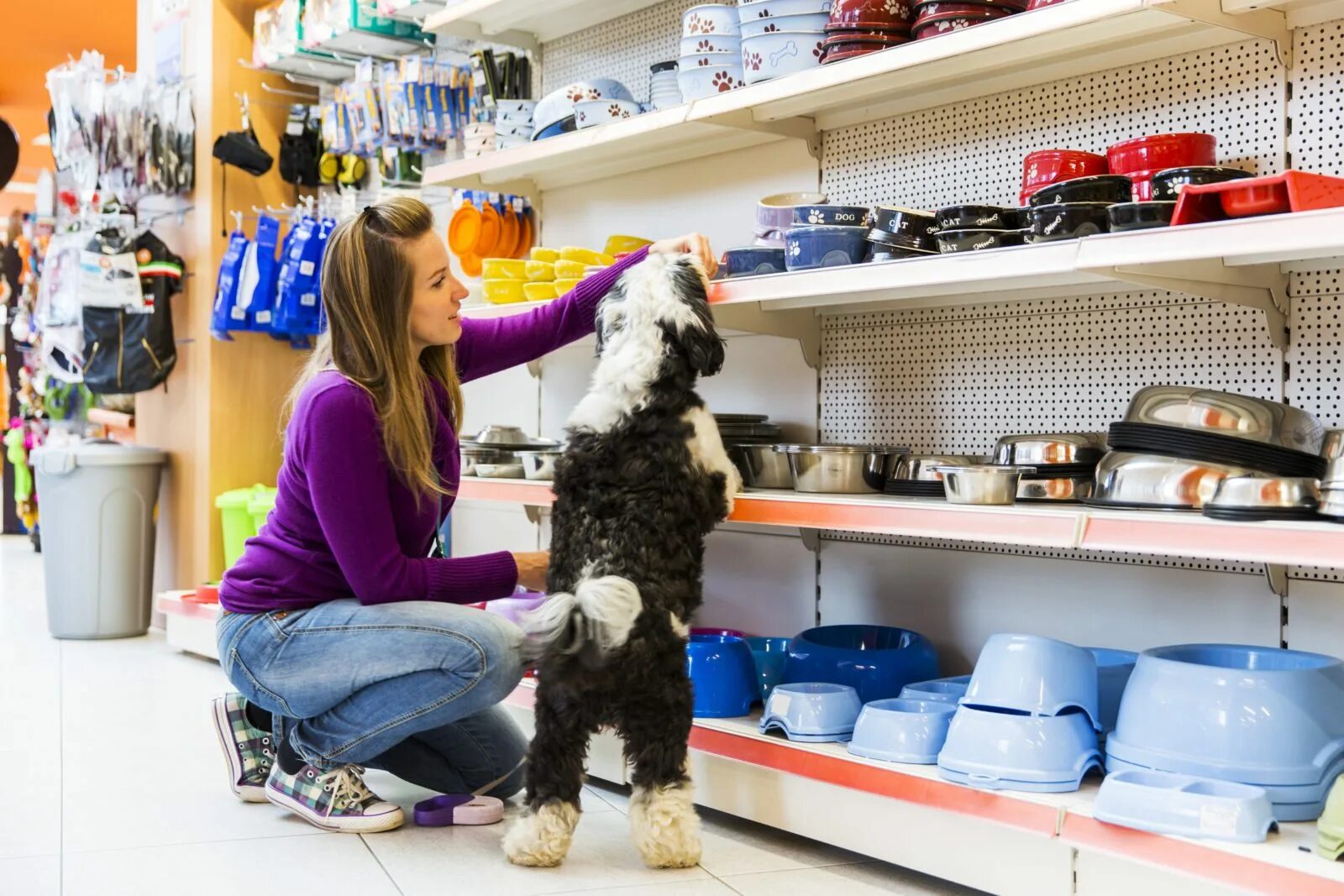 Зоомагазин. Товары для животных. Магазин животных. Собака в зоомагазине. Animals store