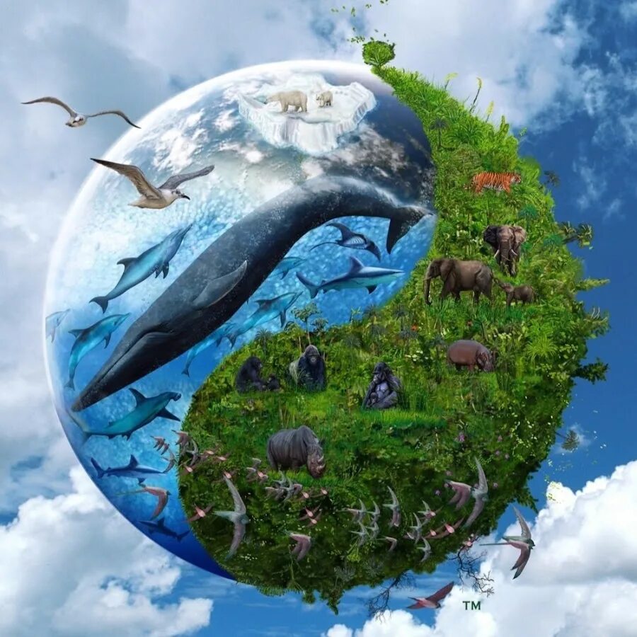 Природа это весь материальный мир. Защита природы. Окружающая среда. Планета земля экология. Природа земли.