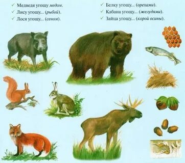 8 поисковых запросов на тему дикие животные