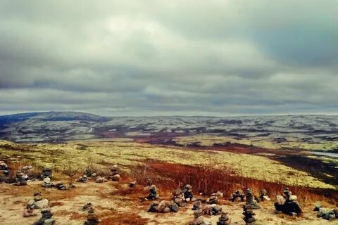 Северная красота
