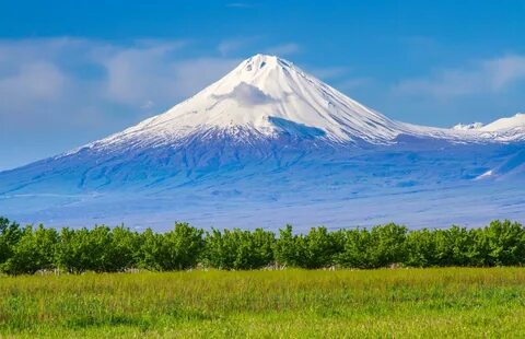 Арарат ararat