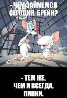 Ты знаешь чем мы сегодня займемся