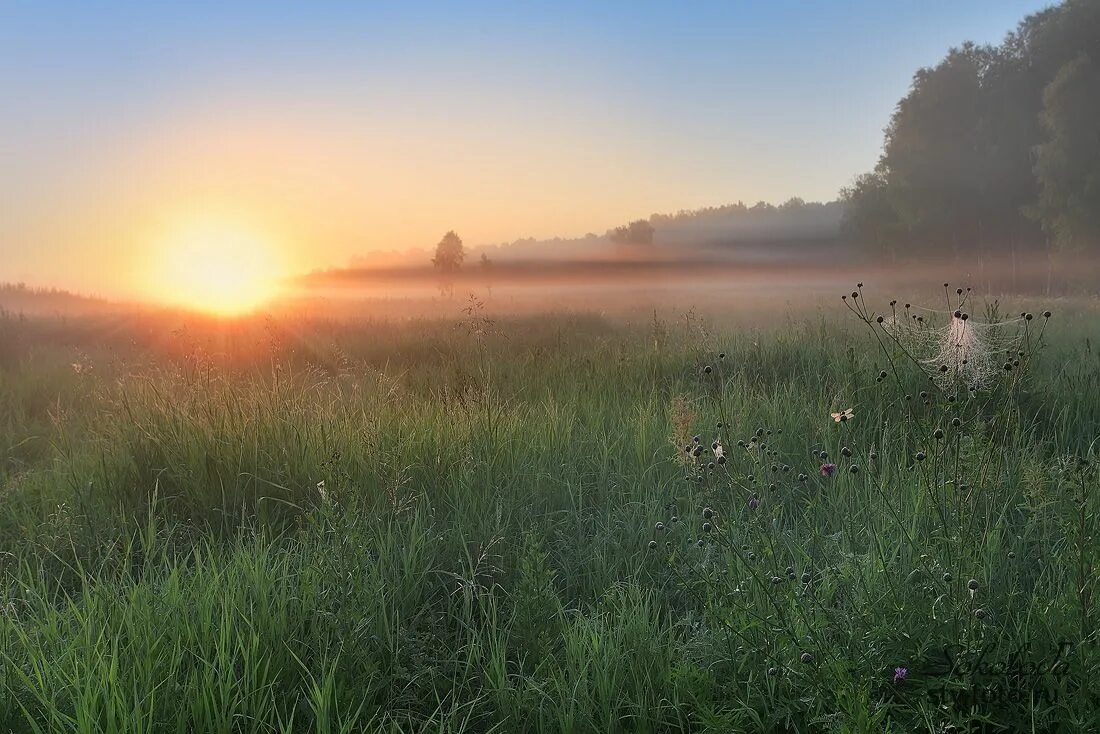 Утренний пейзаж. Утренний рассвет. Утро лето. Раннее летнее утро. Раннее летнее утро в воздухе впр