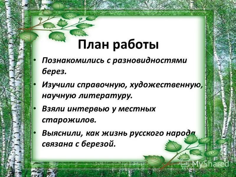 Какие среды обитания освоила береза. Имя связанное с березой. Игра связанная с березой. Познакомимся подробнее с березой рассмотрим стиль текста. Какие среды битания освоила берёза.