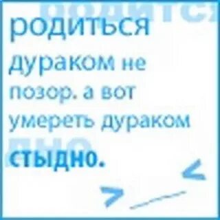 Дураками рождаются
