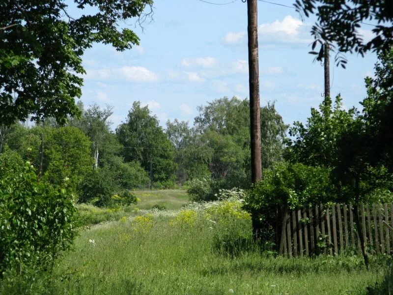 Поселок Куркино Тульская область. Поселок Лучанский Тульская область. Тульская обл Куркино улица Октябрьская. Деревня Малиновка Тульская область. Погода куркино тульская область 10 дней