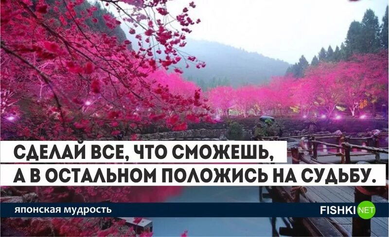 Полагаться на судьбу