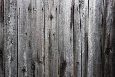 Gray wood