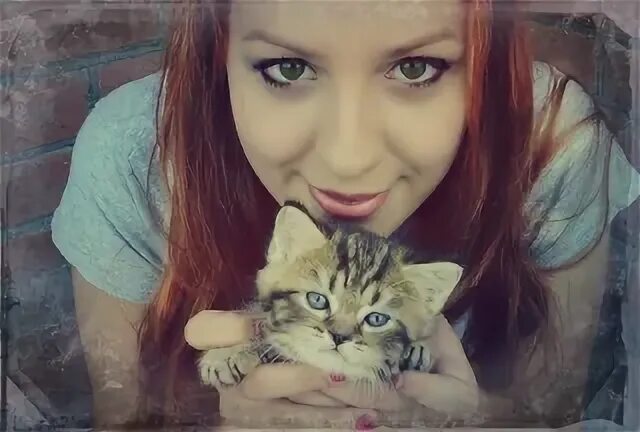 Кот лизы из дом 2