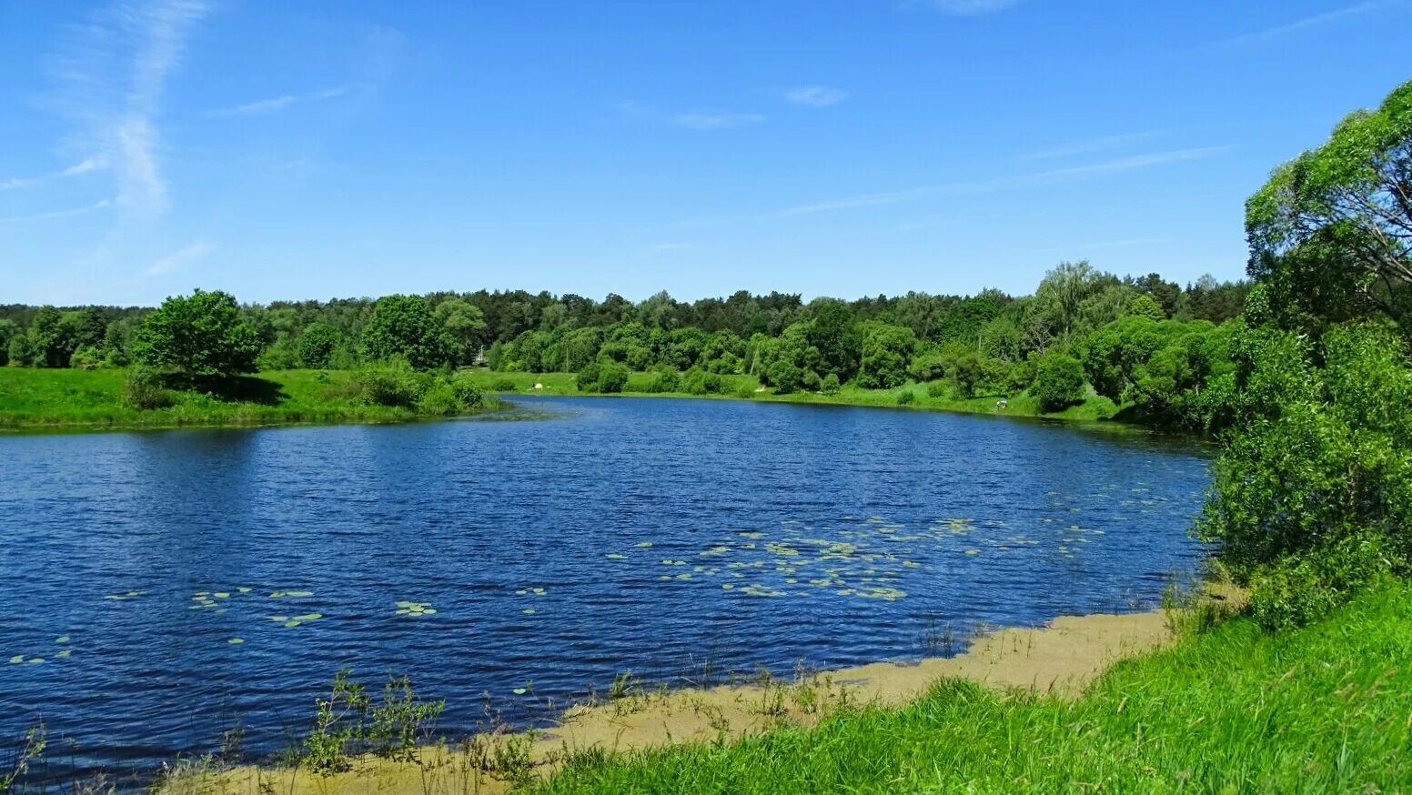 В озере есть участок. Кривое озеро Смоленский район. Кривое (озеро, Витебская область). Озеро Елань. Озеро мутное Смоленская область.
