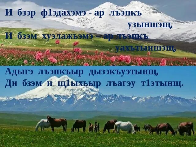 Стихи о родном языке на кабардинском. Стишок на кабардинском языке. Стихи о языке на кабардинском языке. Си АНЭБЗЭ си Адыгэбзэ.