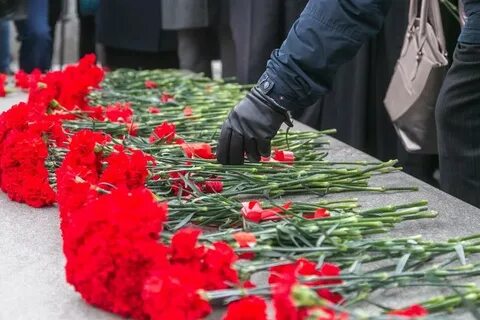 Скорбим новосибирск