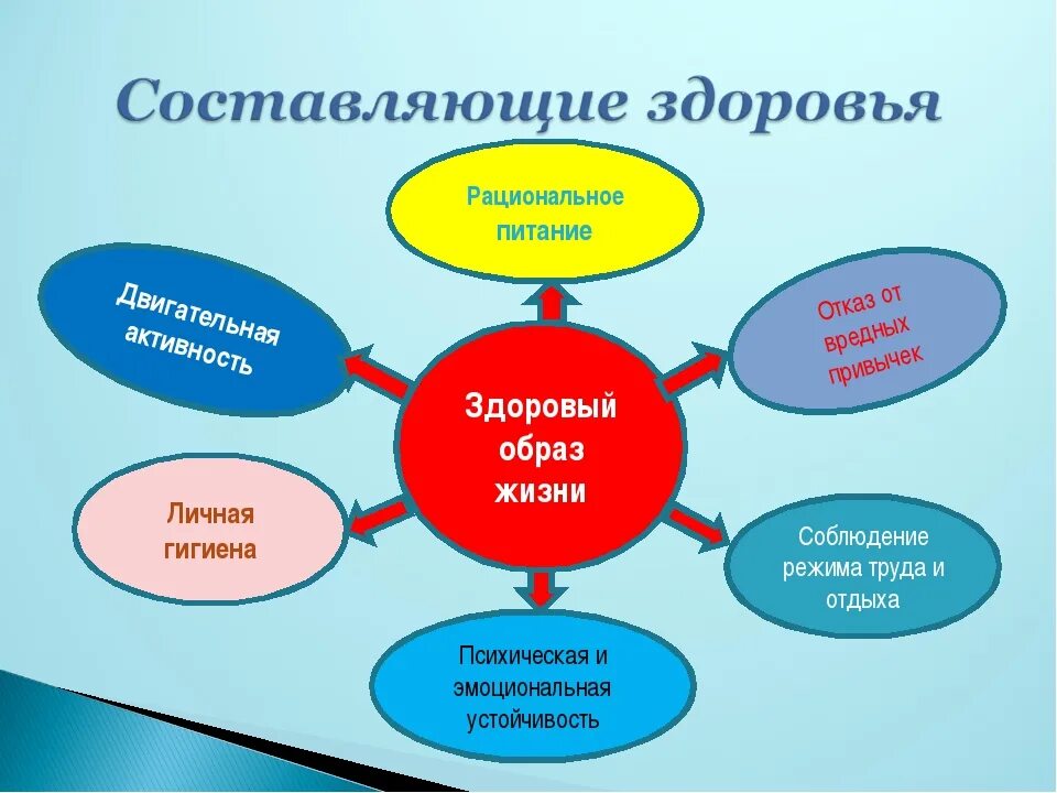 Составляющие картинка. Составляющие здорового образа жизни человека. Факторы здорового образа жизни. Основные составляющие здоровья человека. Обучение здоровому образу жизни.