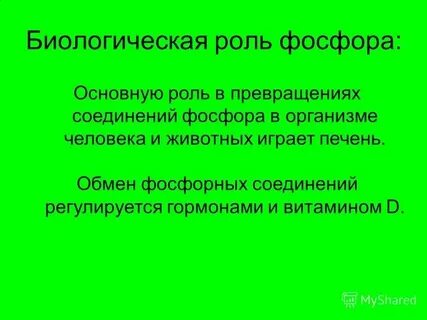 Биологическая роль поведения