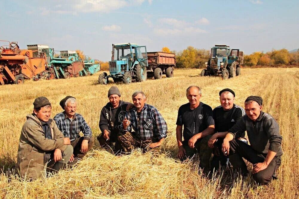 Колхоз имени Ленина Белгородская область Красноярский район. СХП Нива Агро. Колхоз им Калинина Новоузенский район Саратовская. Колхоз имени Ленина Нехаевский район. Группы тружеников