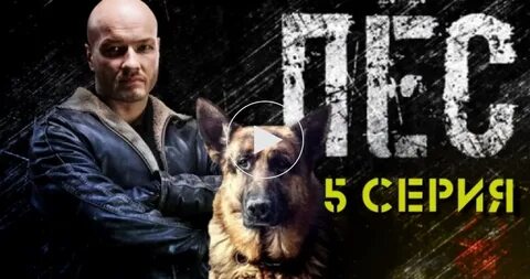 Пес 5 имя пса