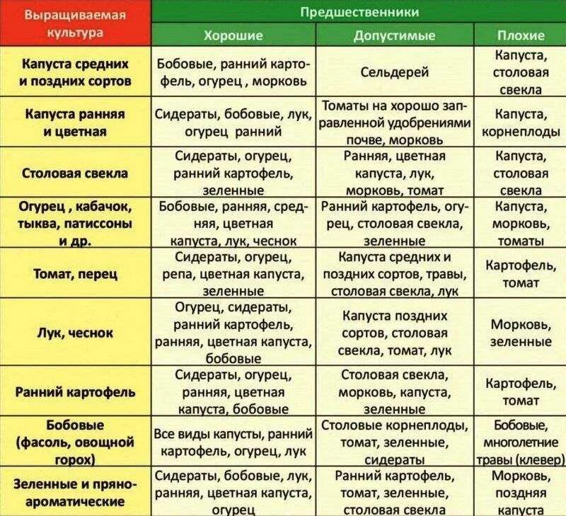 Что можно сажать после перца. Таблица севооборота овощных культур. Севооборот овощей в огороде таблица планирование. Таблица севооборота овощных культур и сидератов. Схема чередования культур в севообороте.