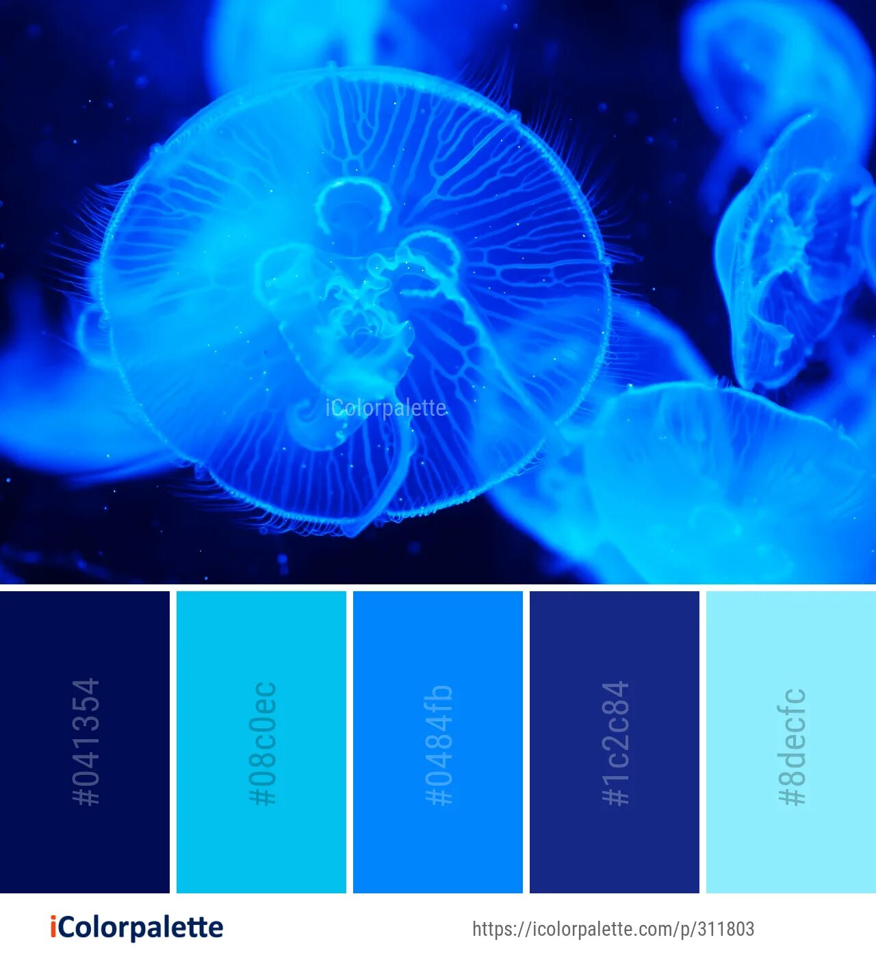 Цвет электро. Цветовые Палитры медуза. Цветовая палитра электрически голубой. Синий электрик палитра. Электро голубой цвет.