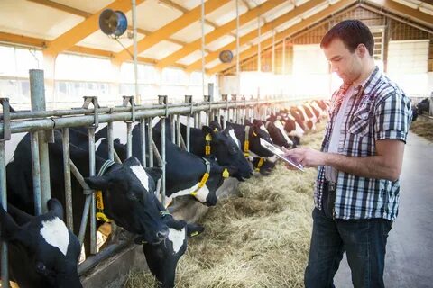 Farm solution