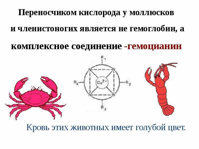 Переносчиками кислорода являются