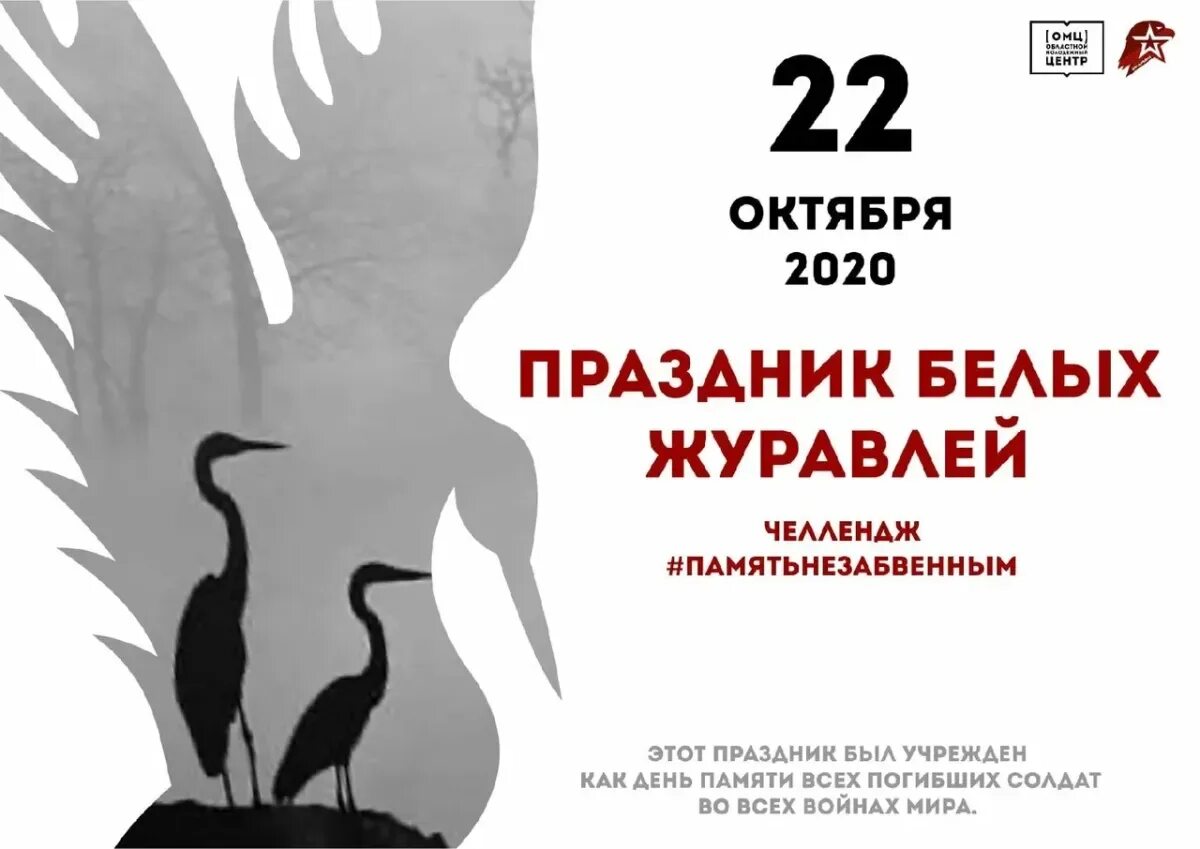 Журавль в честь памяти. Белый Журавлик акция памяти 22 октября. День белых журавлей. День белых журавлей 22 октября. Белые Журавли 22 октября.