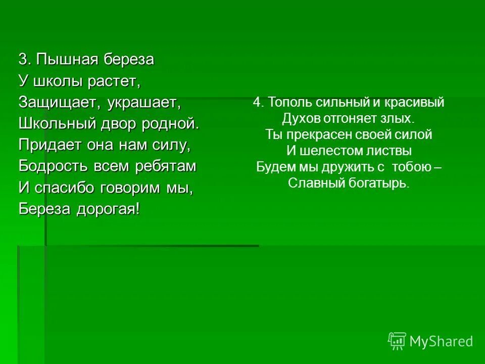 Береза у дороги диктант 4 класс. Диктант берёза у дороги. Берёзы любэ текст. Берёза у дороги текст. Берёза у дороги текст для диктанта 5 класс.