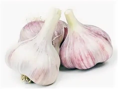 Чеснок свежий урожай. Красный чеснок сорт. Кг чеснок 2 крупные. Крупный чеснок. Стоимость 1 кг чеснока.