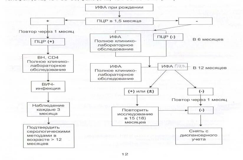 Схема диагностики ВИЧ инфекции. Схема диагностики ВИЧ инфекции микробиология. Диагностика ВИЧ инфекции вирусологический метод. Лабораторная диагностика ВИЧ инфекции схема микробиология. Диагностика вич инфекции осуществляется методом