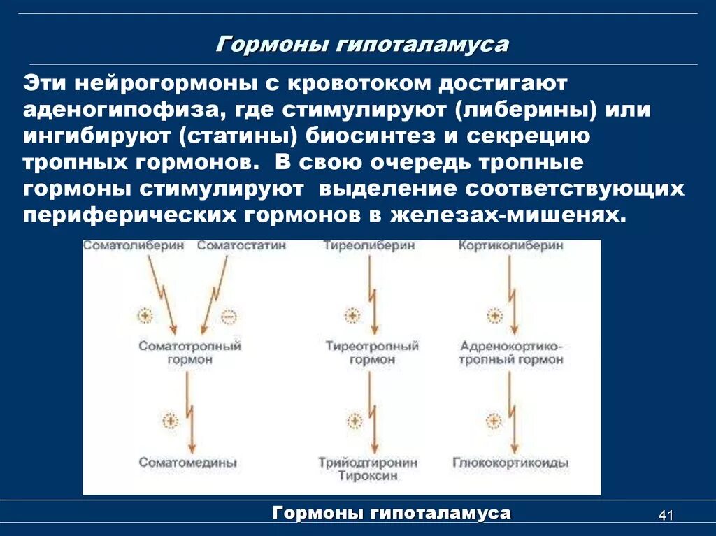 Гормоны гипоталамуса структурная формула. Таблица рилизинг гормоны гипоталамуса. Гормоны гипоталамуса кратко биохимия. Гормоны гипоталамуса таблица механизм действия.