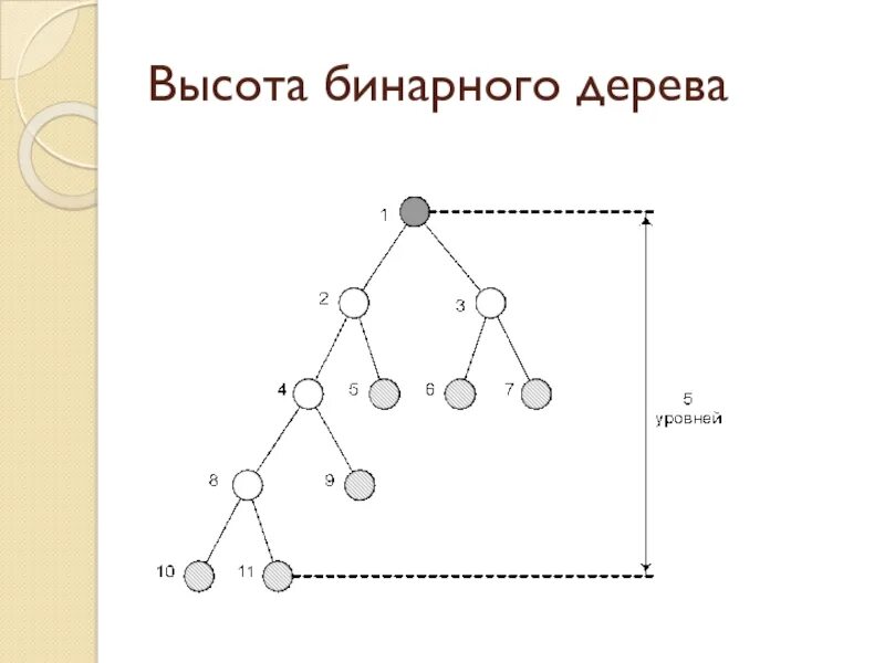 В дереве 4 вершины сколько. Как определить высоту бинарного дерева. Высота бинарного дерева формула. Как найти высоту дерева графа. Высота и глубина бинарного дерева.