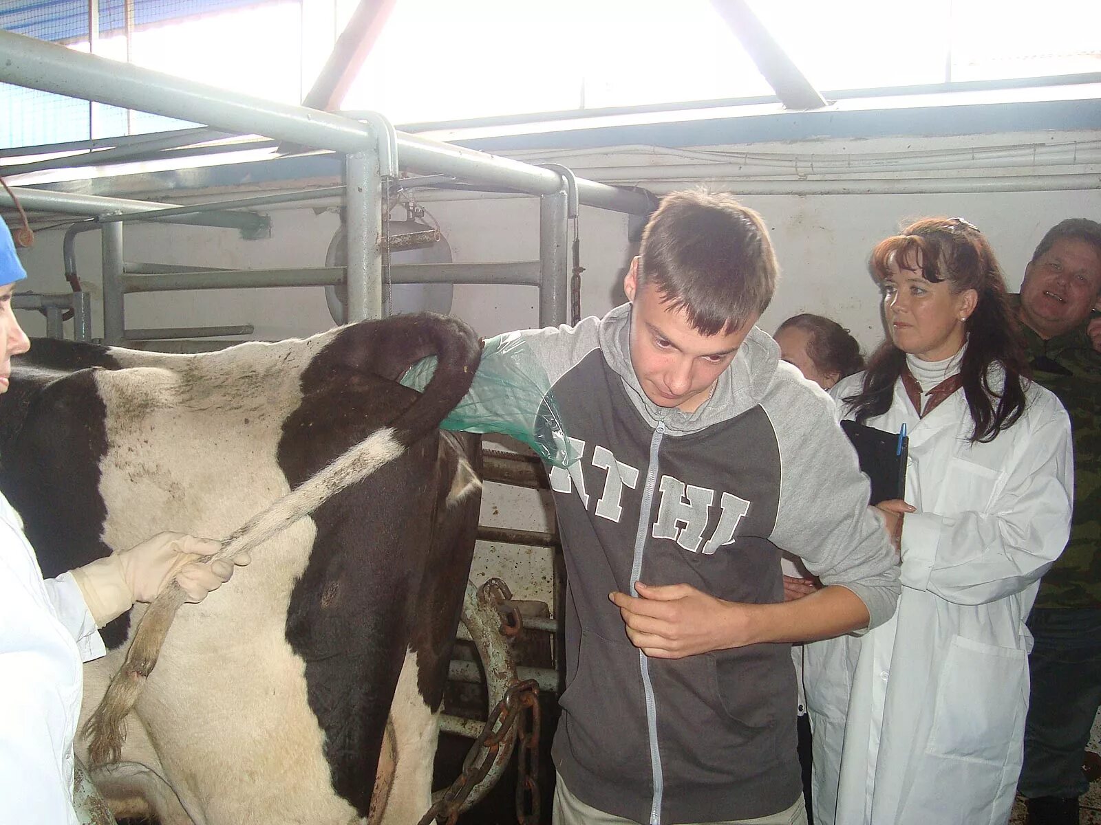 обучение на зоотехника. ветеринария коровы. день зоотехника. ветеринар зоотехник. зоотехник профессия.