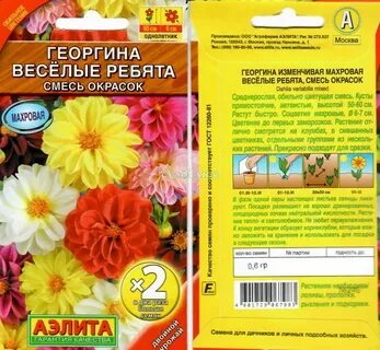 Георгины веселые ребята семена