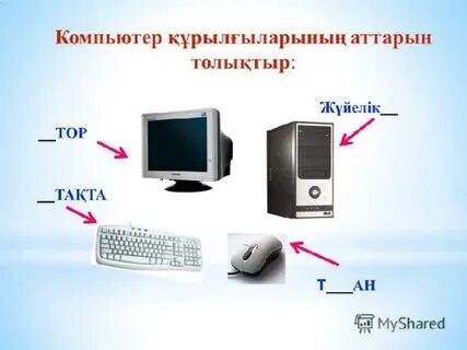 Семіз әйелдердің жалаңаш суреттері