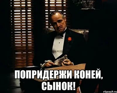 Держи поешь