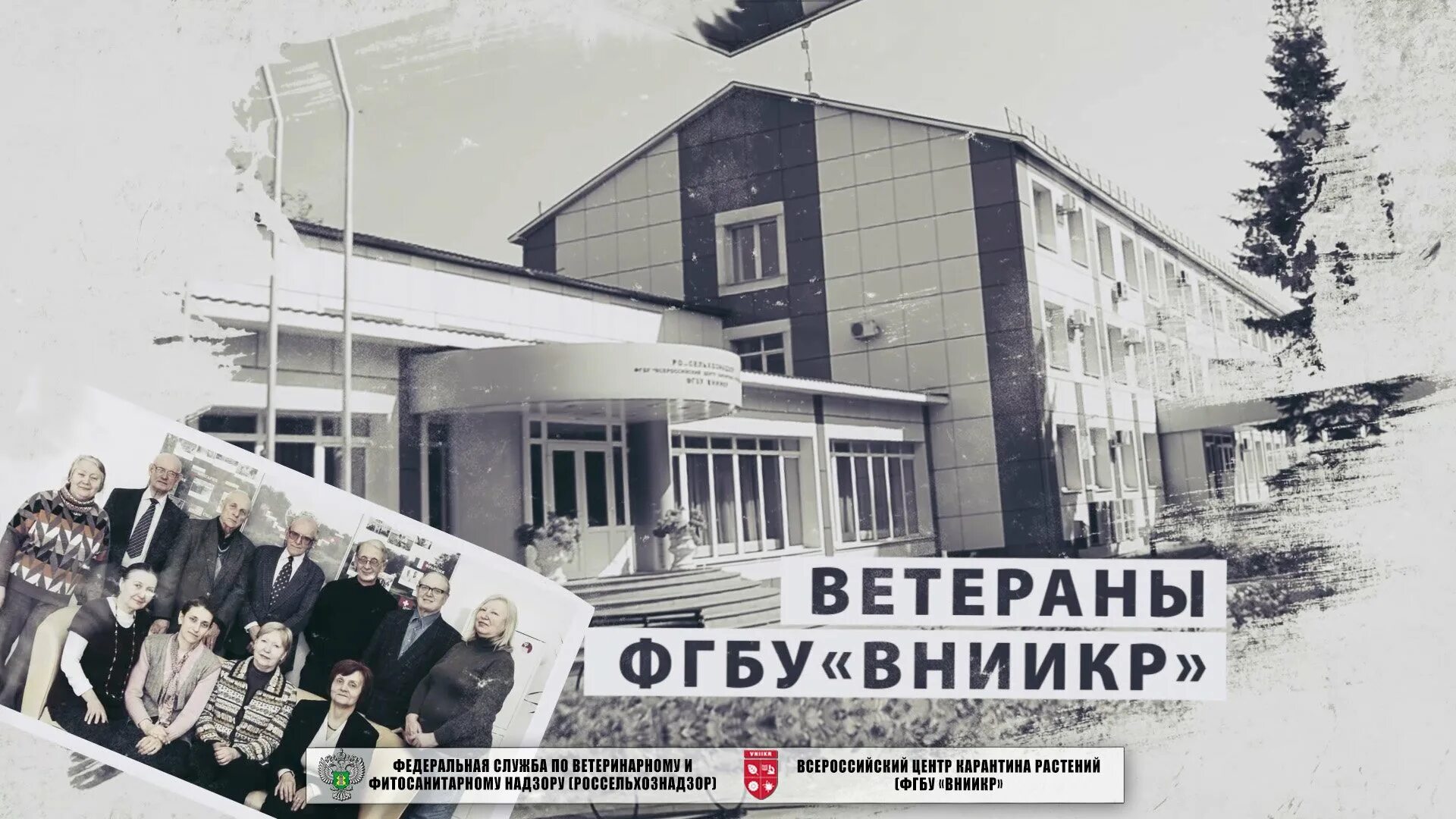 Филиал фгбу вниикр. Фгбу вниикр иркутский филиал. вниикр воронежский филиал.