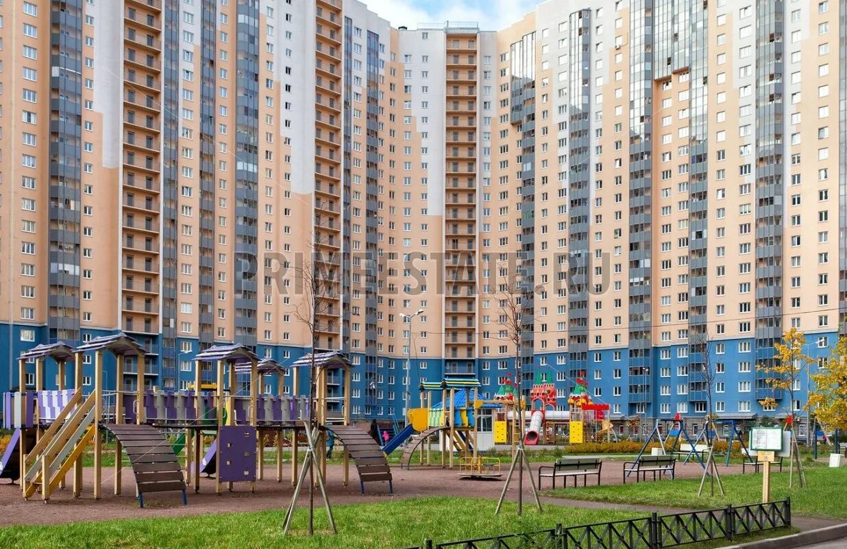 Коллонтай 5. Коллонтай 51 двор.