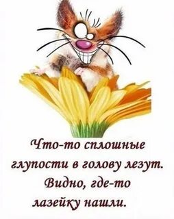 Смешные картинки со смыслом для поднятия настроения