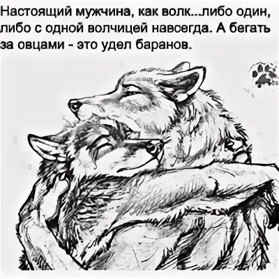 Как волк у мужика жил