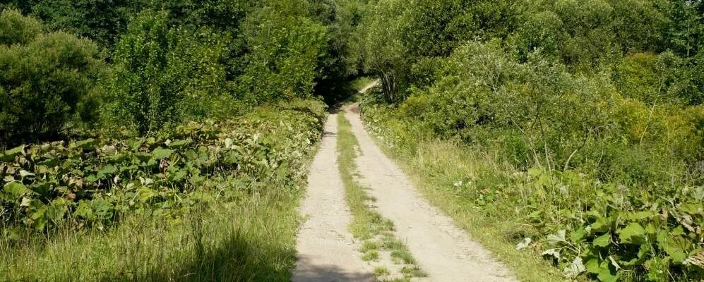 Село Пескив. Рядовой Сокол Антон Иосифович Информация из донесения о безвозвратн