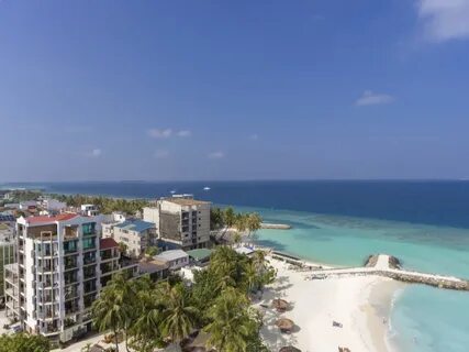 Arena beach отзывы