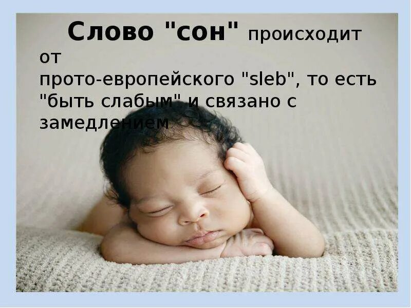 Значение слова спать. Происхождение слова сон. Слова связанные со сном. Игра слов сон. Спать слово.