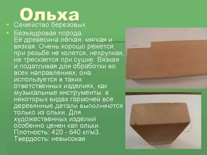 Древесина отличается особой прочностью и долговечностью
