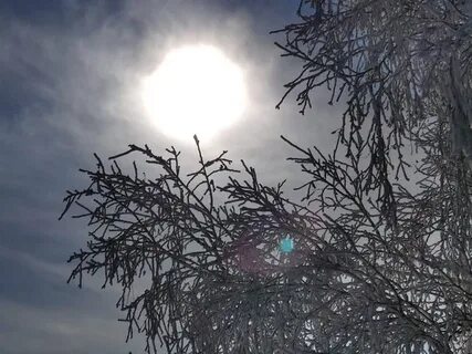 Будет ли завтра ветер