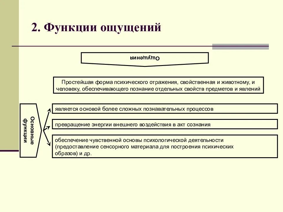 Свойства процесса ощущений. Функции ощущений в психологии. Функции процесса ощущения в психологии. Функции ощущений схема. Основные функции ощущений в психологии.