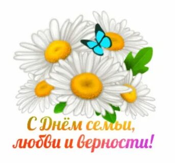 С днем семьи любви верности ромашки