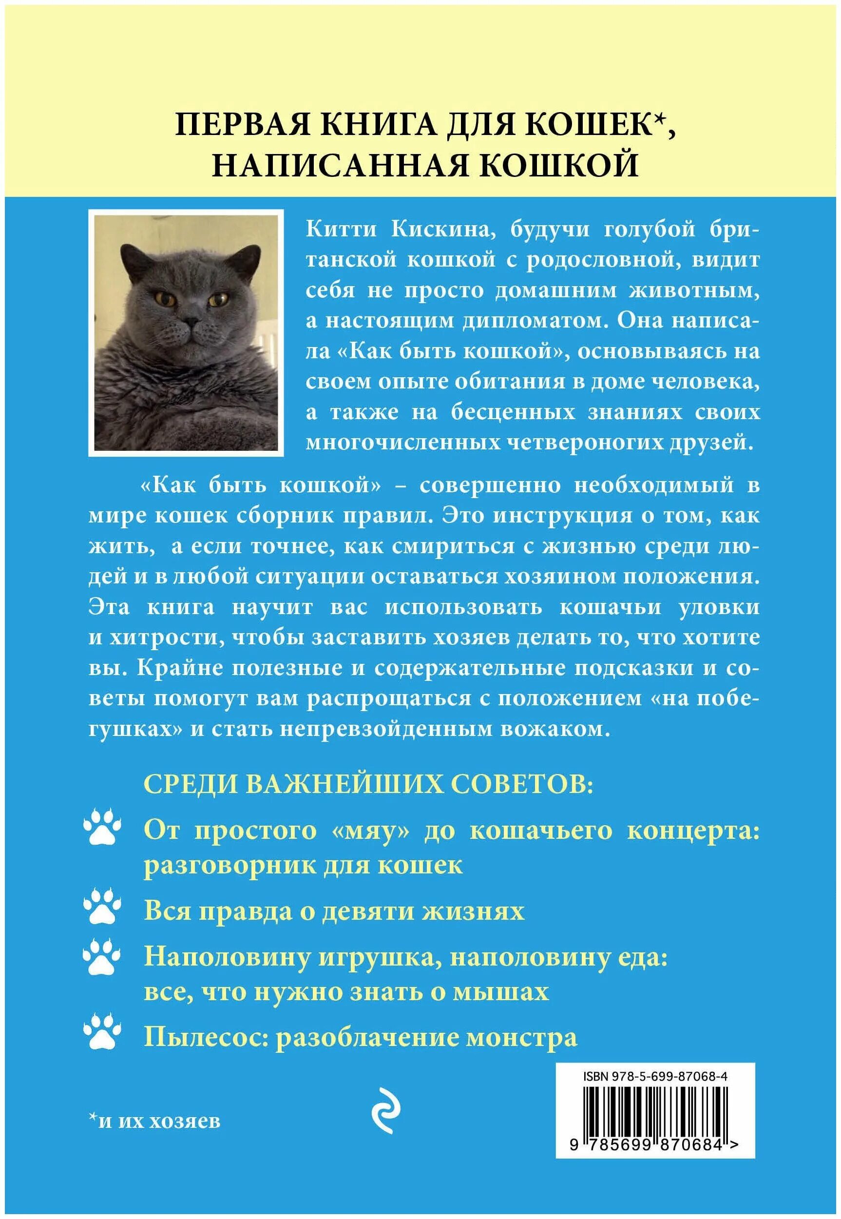 стать кошечкой. кот на руках. как стать котенком. стать кошечкой. как появились домашние кошки.