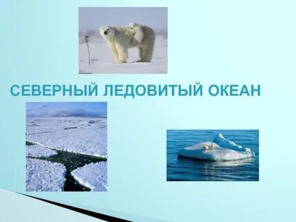 Почему северно ледовитый